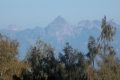 DSCN1821