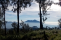DSCN1844