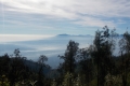 DSCN1859
