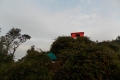 DSCN9765