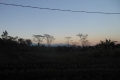 alor-to-flores-597