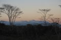 alor-to-flores-598