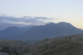 alor-to-flores-607
