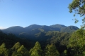 alor-to-flores-614