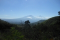 alor-to-flores-617