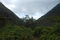 alor-to-flores-618