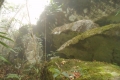 alor-to-flores-623