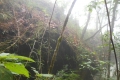 alor-to-flores-624