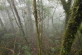 alor-to-flores-627