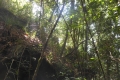 alor-to-flores-629