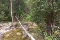 DSCN9942