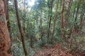 DSCN9966