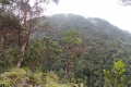 DSCN9984