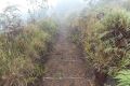 DSCN5306