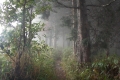 DSCN5308