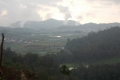 DSCN8428
