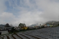 DSCN8534