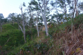 DSC02565