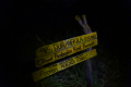 DSC02585