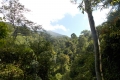 DSCN3081