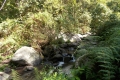 DSCN3084