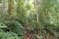DSCN3085