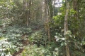 DSCN3127