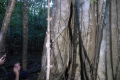 tomohon-bunaken-tangkoko-267
