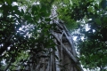 tomohon-bunaken-tangkoko-271