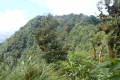 tomohon-bunaken-tangkoko-297