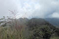 tomohon-bunaken-tangkoko-304