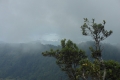 tomohon-bunaken-tangkoko-318
