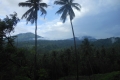 tomohon-bunaken-tangkoko-355
