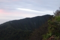 DSC04220