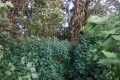DSC04318