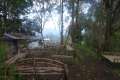 DSC04341