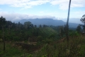 DSC04350