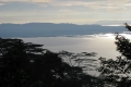 trees-and-ocean-from-gamalama