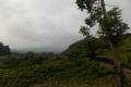 DSCN2919
