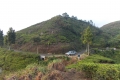 DSCN2935