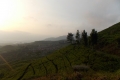 DSCN2936