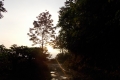DSCN2948