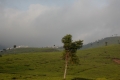 DSCN2957