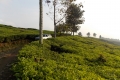 DSCN2959