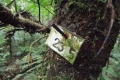 DSCN2987