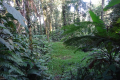 DSC05960