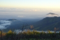 DSC05613