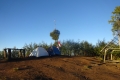DSC05646