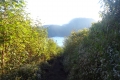 DSC05650