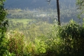DSC05680
